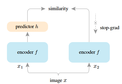 孪生网络示意图