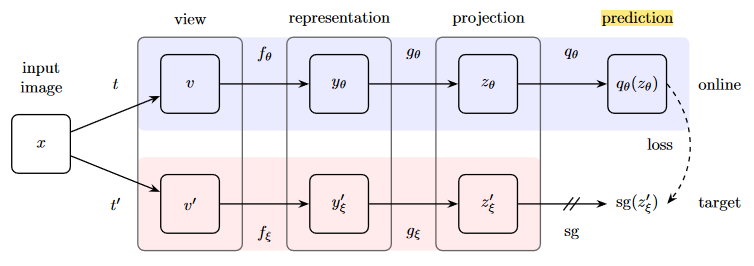 BYOL对比学习框架