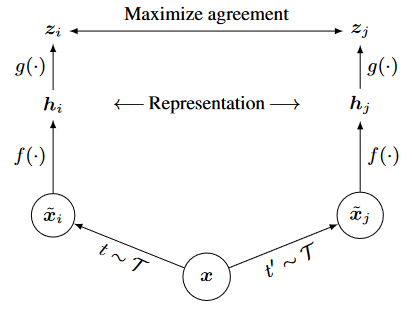 SimCLR框架示意图