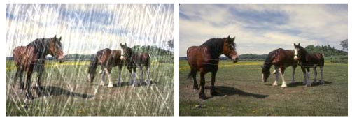 合成的带雨-去雨图像对