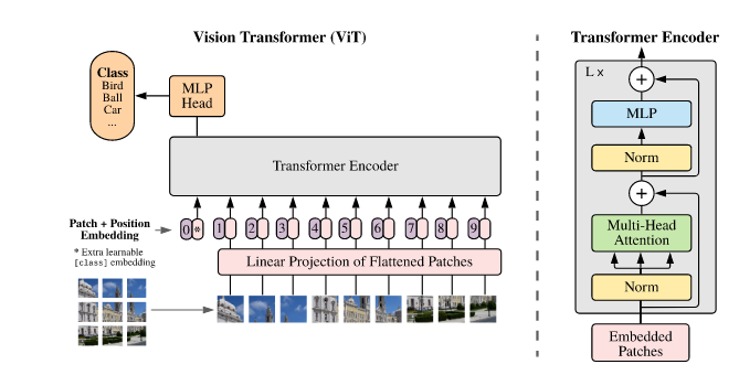 ViT处理图像的方式